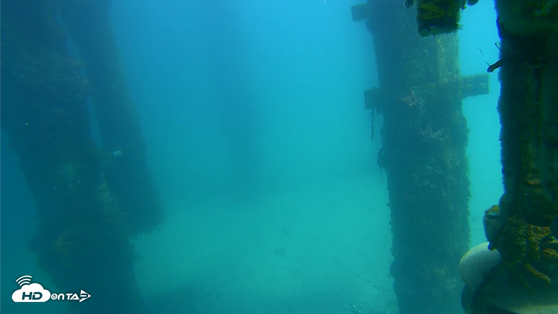 Snapshot of Scripps Pier Underwater Live Webcam taken Mar 13, 2026, 1:28pm PDT
