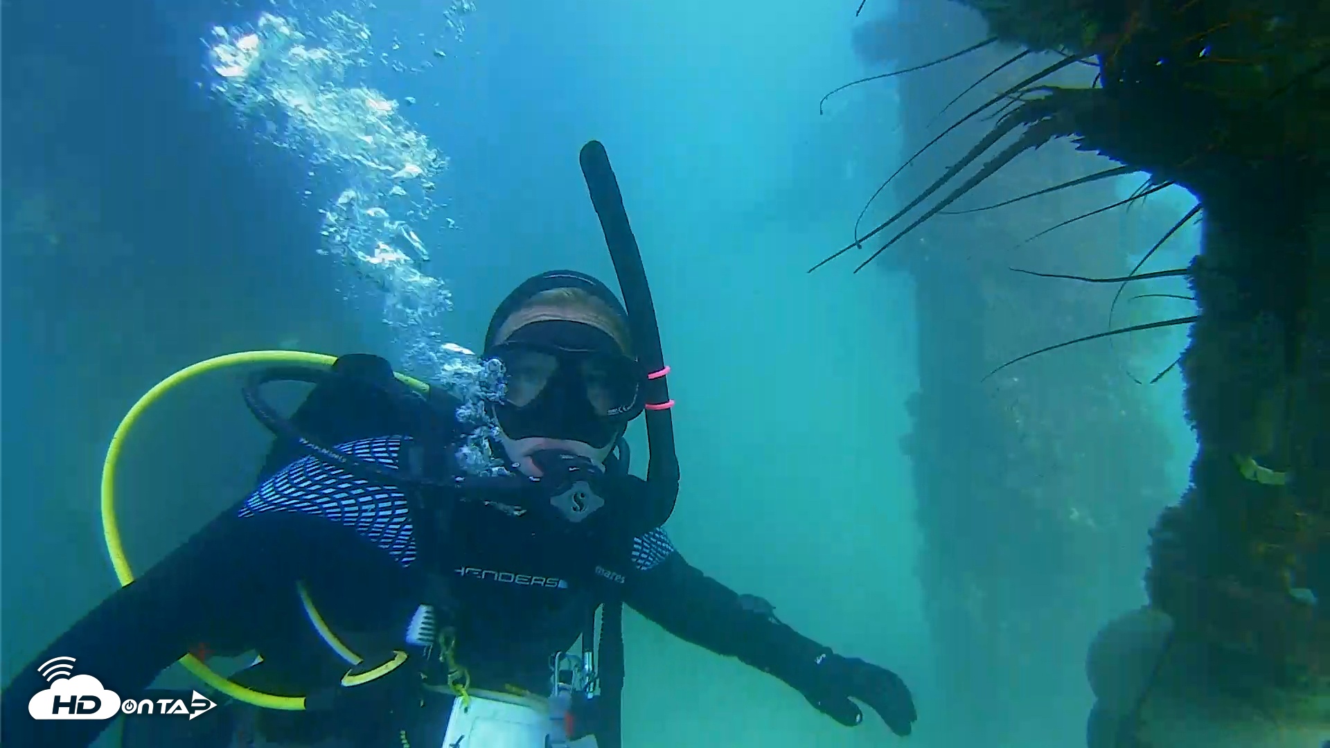 Snapshot of Scripps Pier Underwater Live Webcam taken Sep 10, 2025, 3:31pm PDT