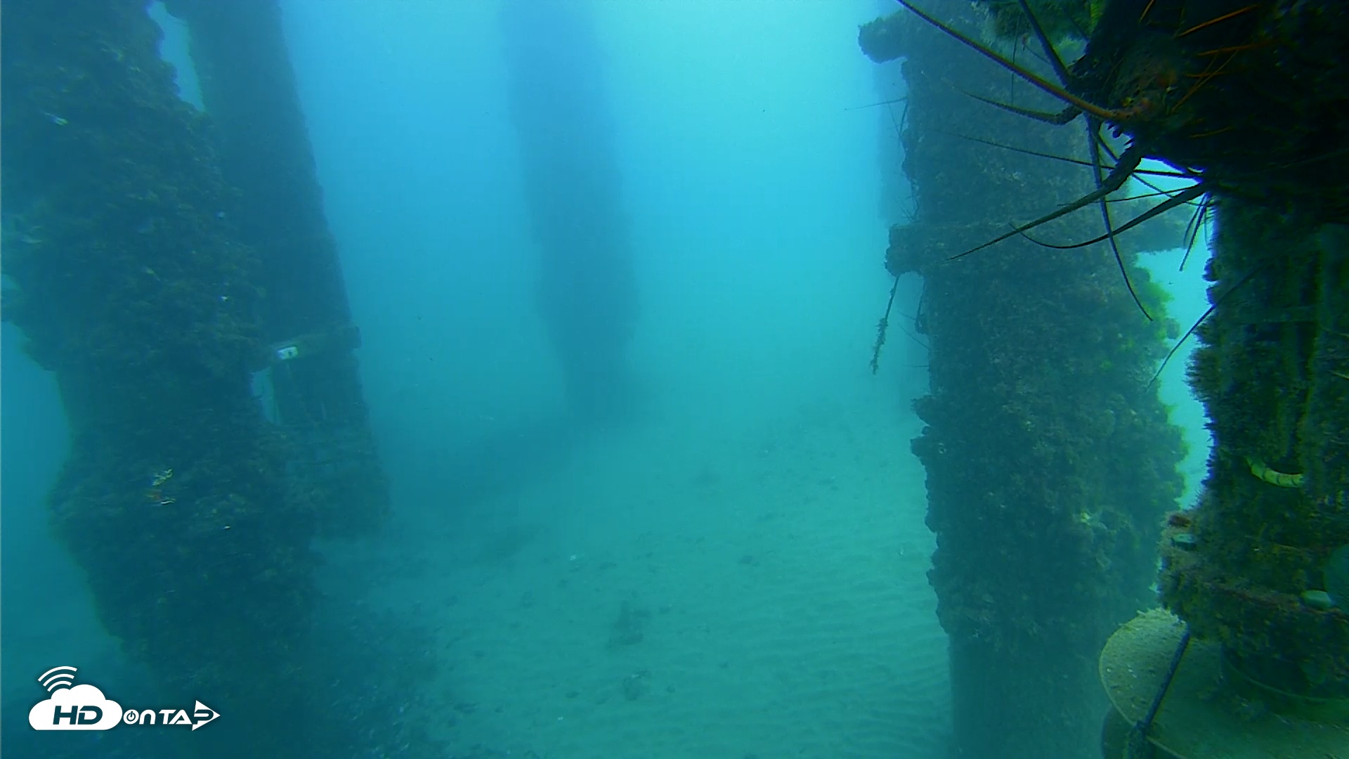 Snapshot of Scripps Pier Underwater Live Webcam taken Sep 2, 2025, 2:03pm PDT
