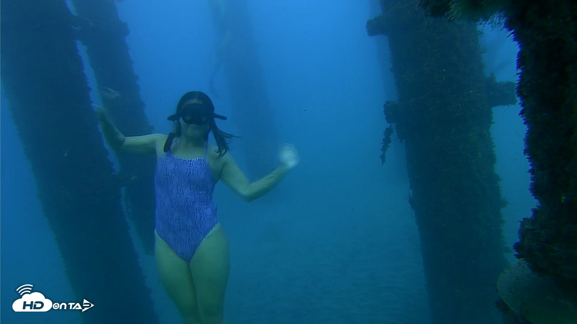 Snapshot of Scripps Pier Underwater Live Webcam taken Oct 19, 2026, 5:57pm PDT