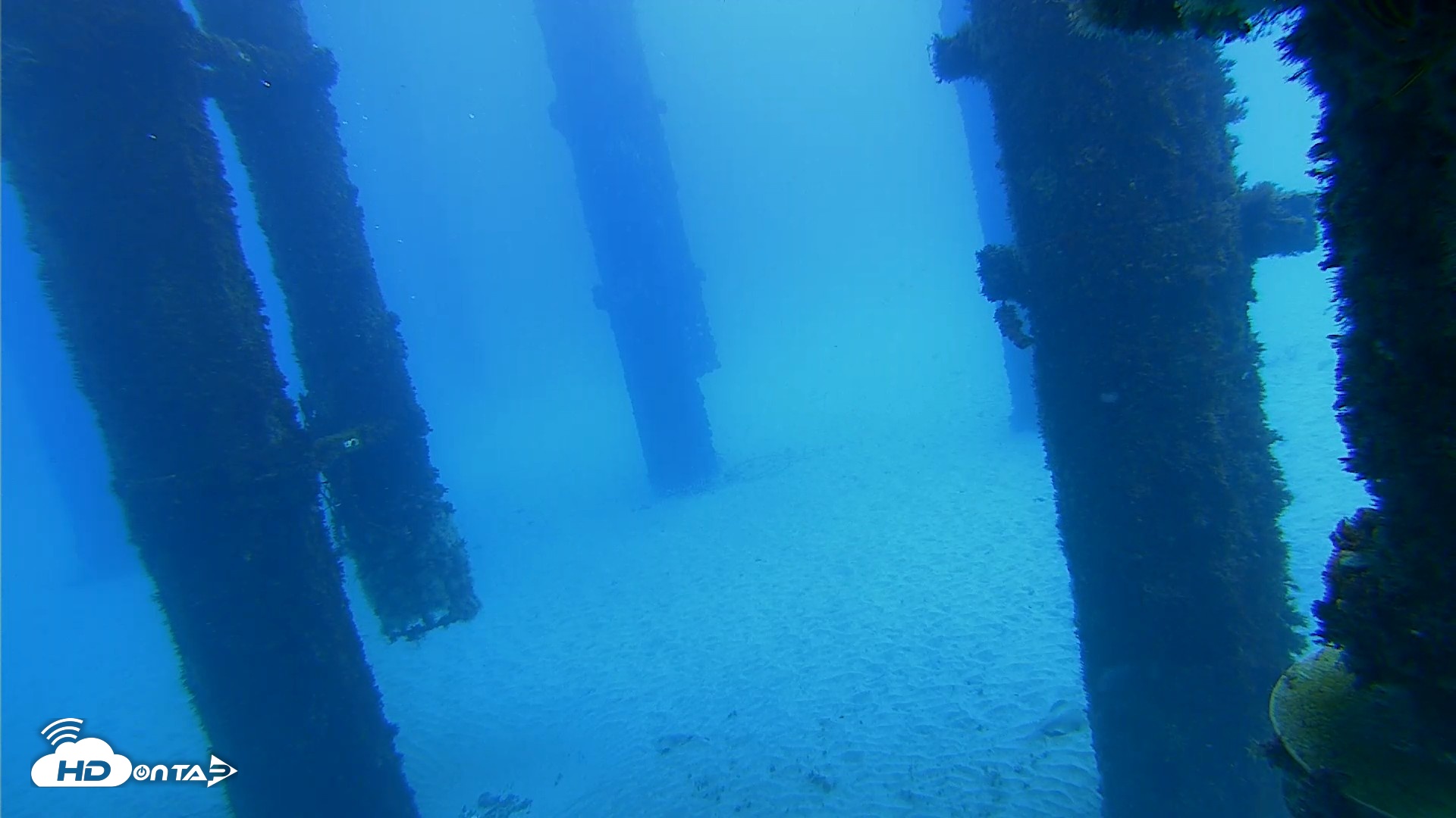 Snapshot of Scripps Pier Underwater Live Webcam taken Oct 7, 2026, 12:23pm PDT