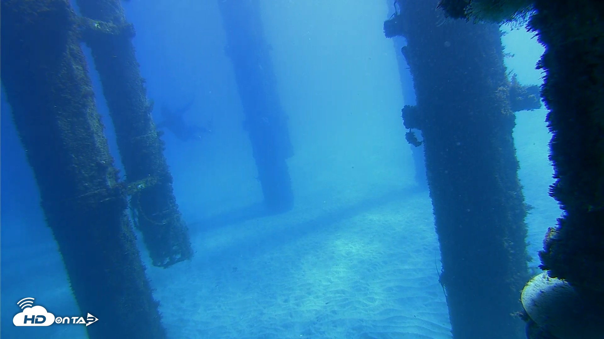 Snapshot of Scripps Pier Underwater Live Webcam taken Oct 19, 2026, 11:41am PDT