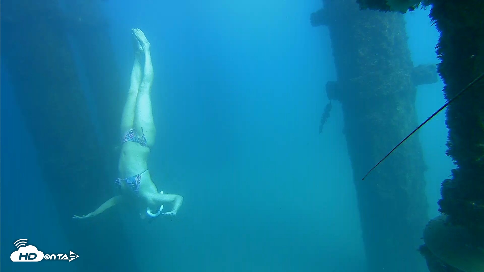 Snapshot of Scripps Pier Underwater Live Webcam taken Oct 15, 2026, 2:57pm PDT