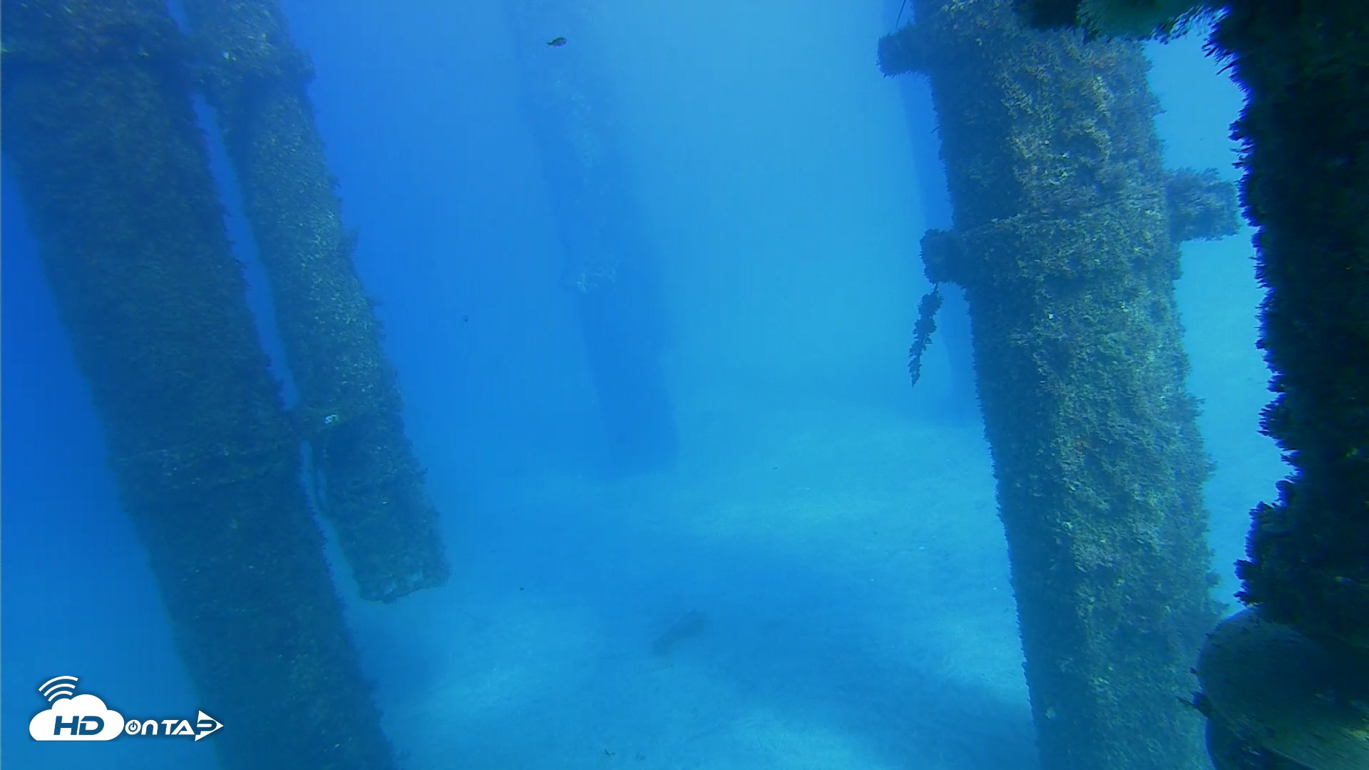 Snapshot of Scripps Pier Underwater Live Webcam taken Oct 16, 2026, 3:53pm PDT