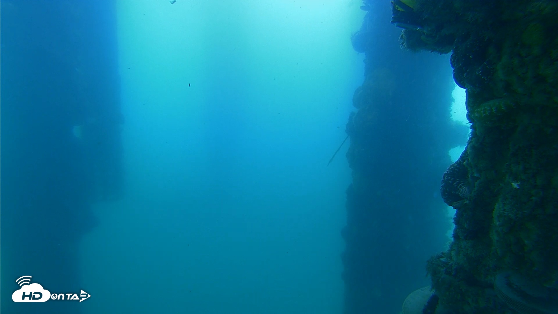 Snapshot of Scripps Pier Underwater Live Webcam taken Apr 26, 2025, 8:27am PDT
