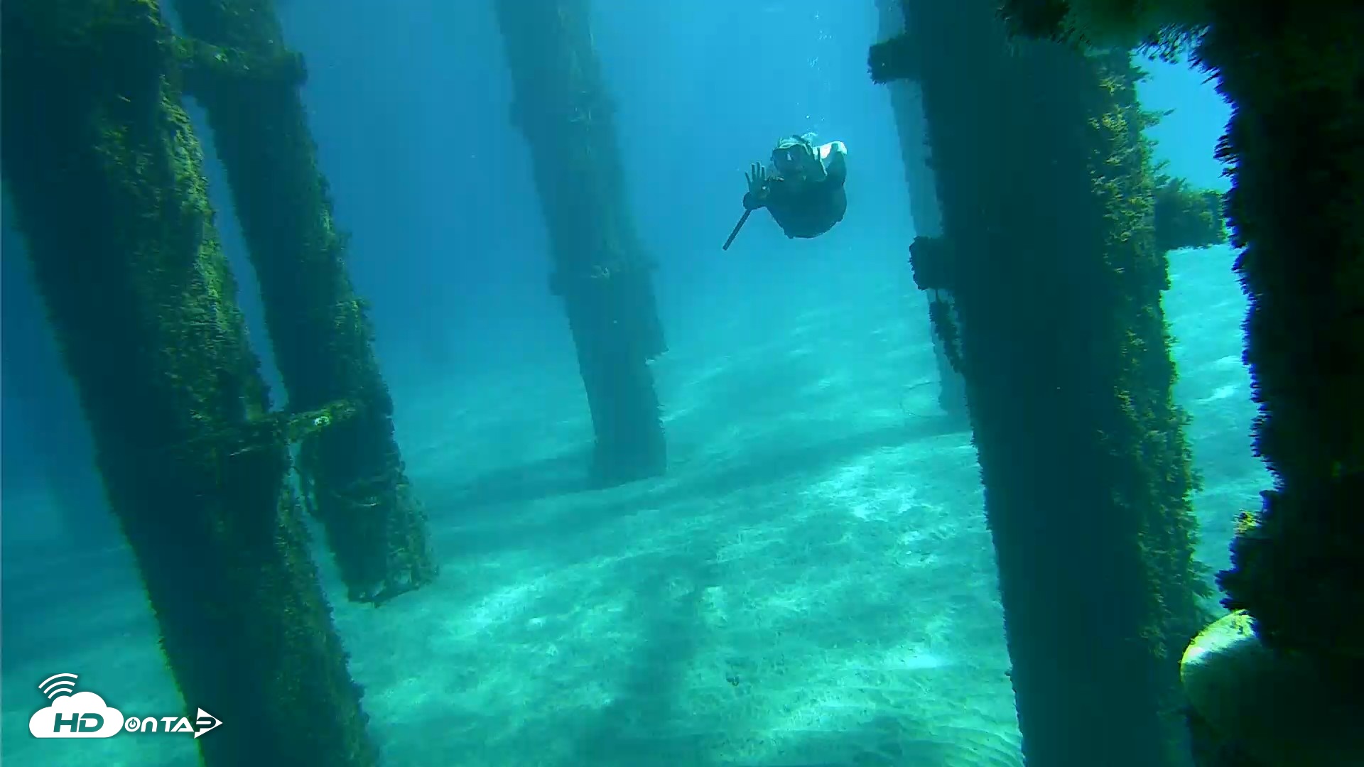 Snapshot of Scripps Pier Underwater Live Webcam taken Oct 18, 2026, 12:20pm PDT