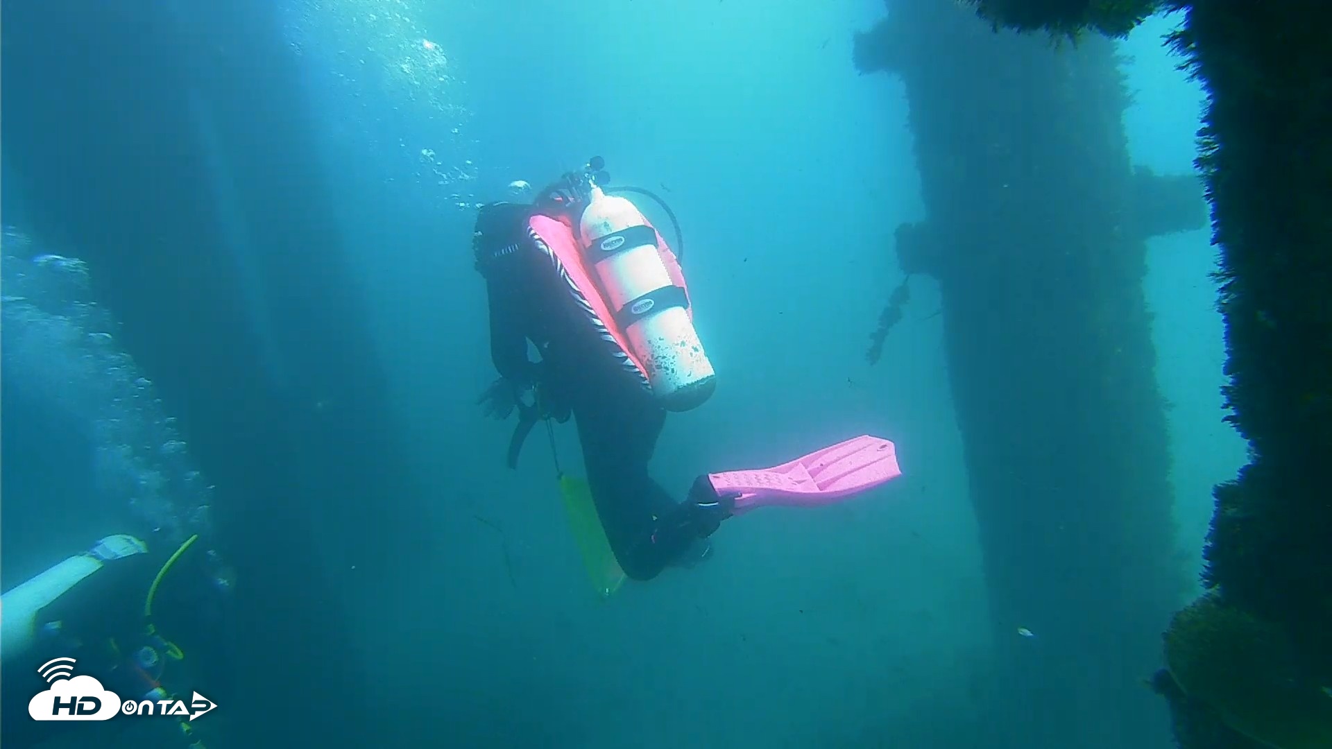 Snapshot of Scripps Pier Underwater Live Webcam taken Oct 1, 2026, 2:07pm PDT