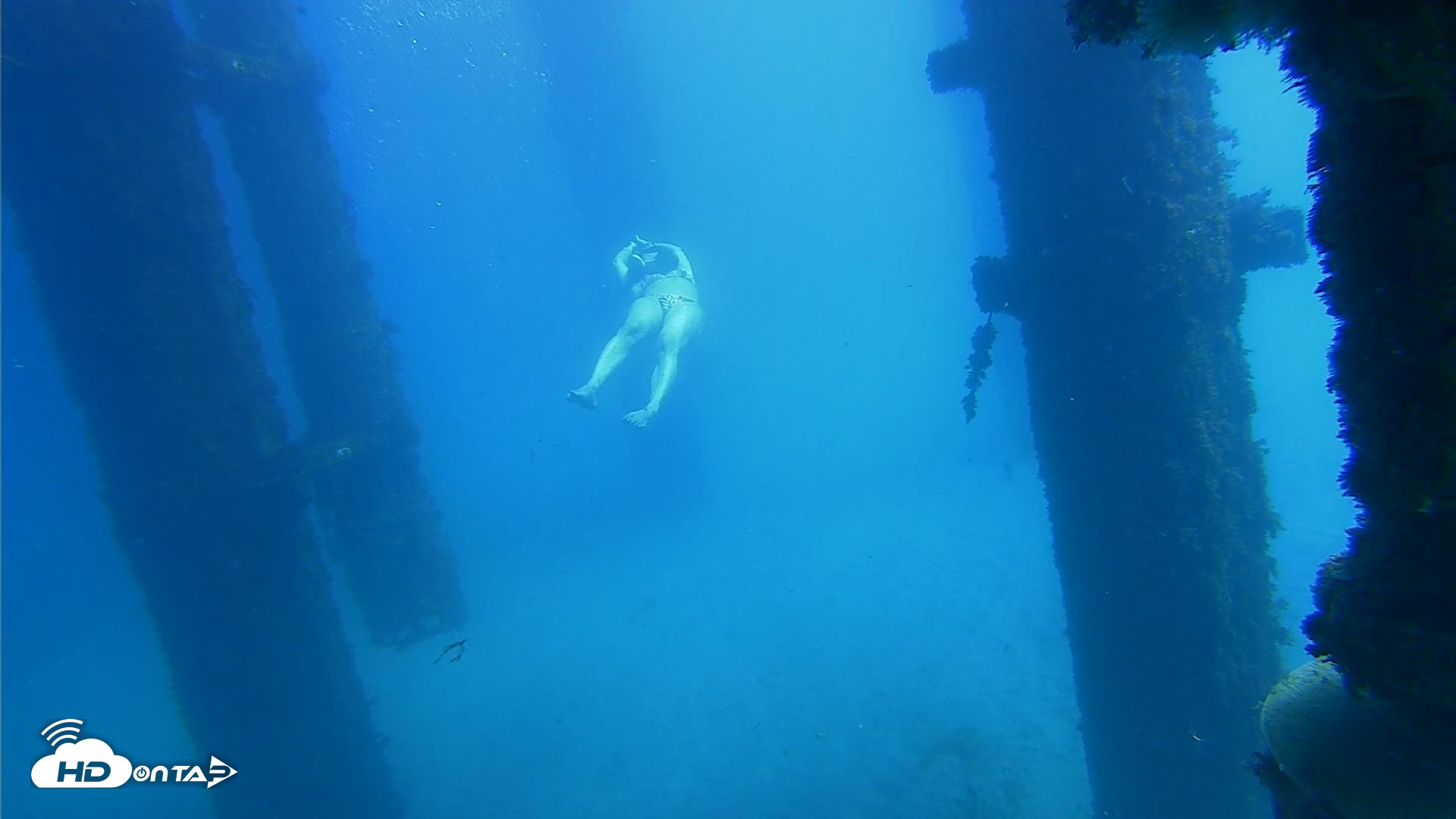 Snapshot of Scripps Pier Underwater Live Webcam taken Oct 20, 2026, 12:46pm PDT