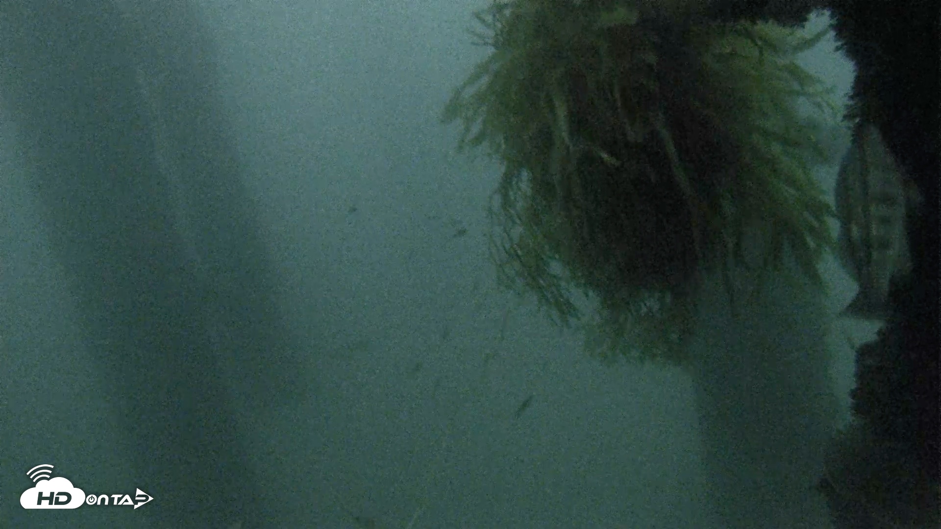Snapshot of Scripps Pier Underwater Live Webcam taken Oct 4, 2026, 6:47pm PDT