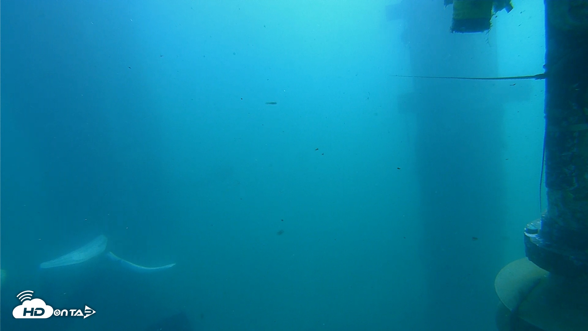 Snapshot of Scripps Pier Underwater Live Webcam taken Feb 25, 2026, 10:27am PST