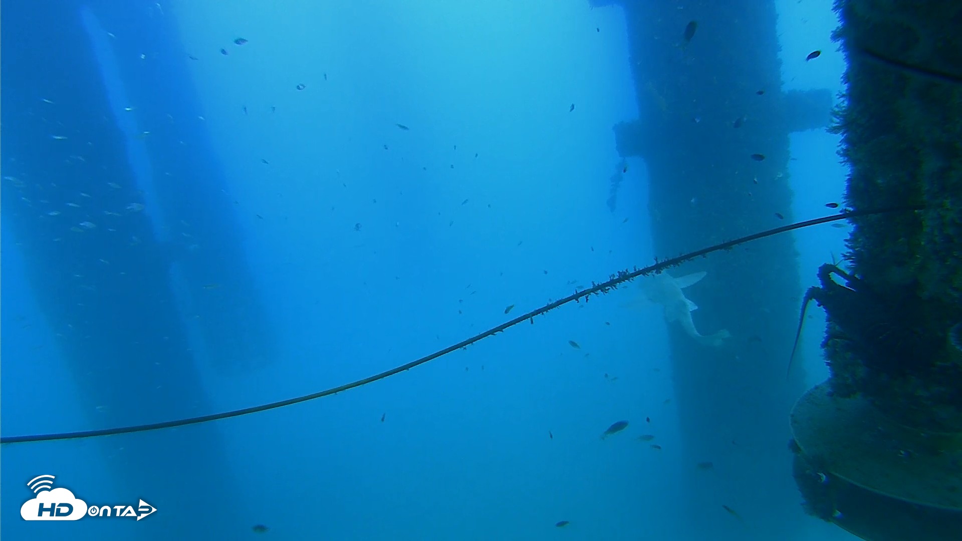 Snapshot of Scripps Pier Underwater Live Webcam taken Aug 28, 2026, 6:56pm PDT