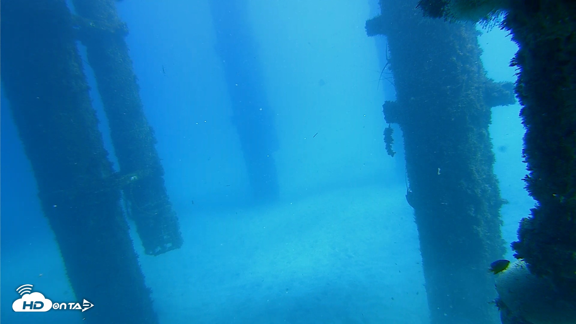 Snapshot of Scripps Pier Underwater Live Webcam taken Oct 19, 2026, 1:10pm PDT