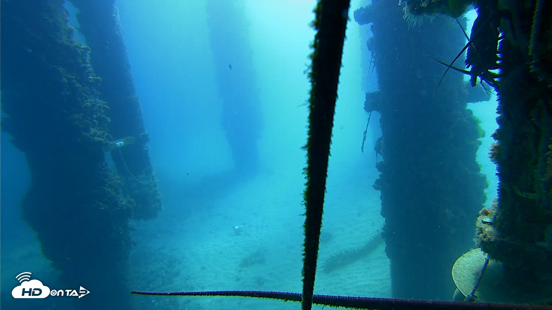 Snapshot of Scripps Pier Underwater Live Webcam taken Aug 30, 2025, 11:06am PDT
