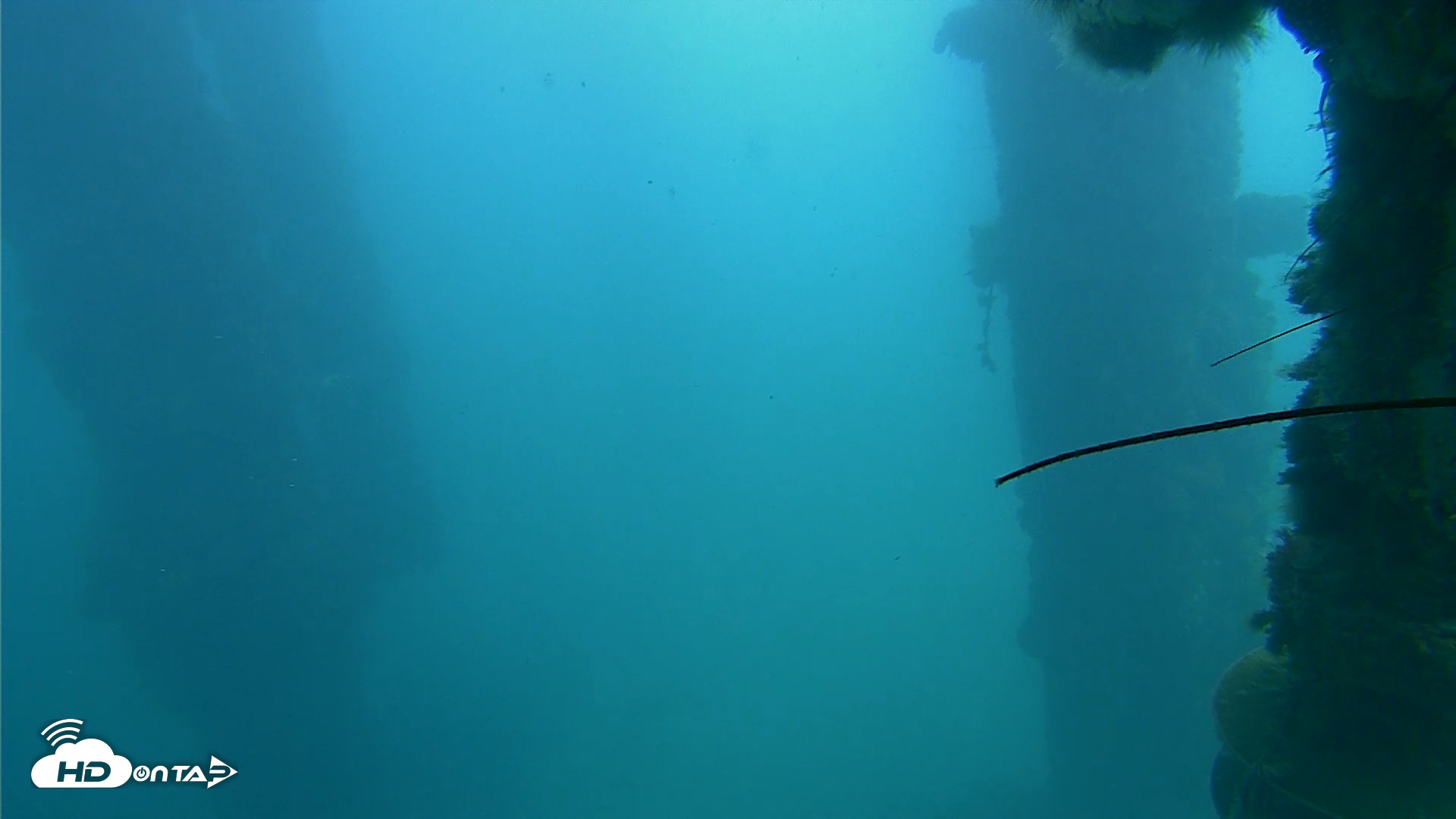 Snapshot of Scripps Pier Underwater Live Webcam taken Nov 24, 2025, 11:38am PST