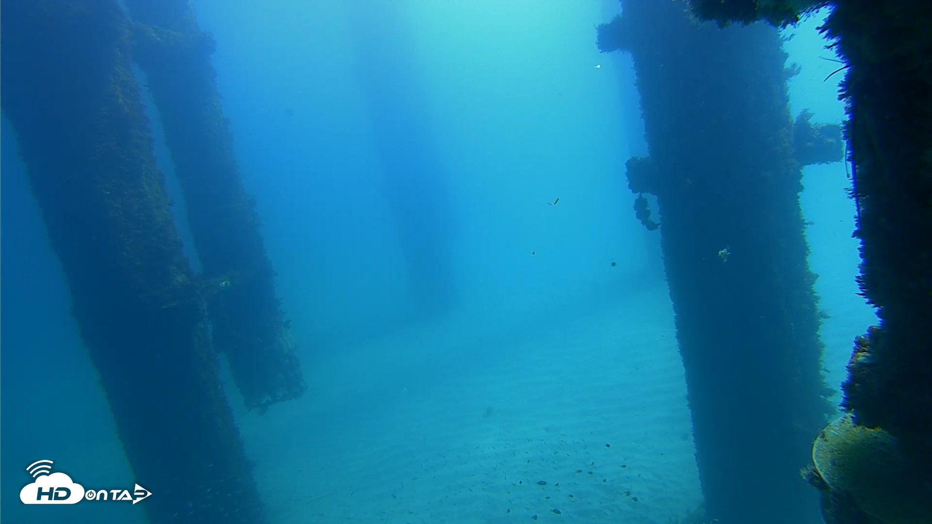 Snapshot of Scripps Pier Underwater Live Webcam taken Oct 6, 2026, 11:43am PDT