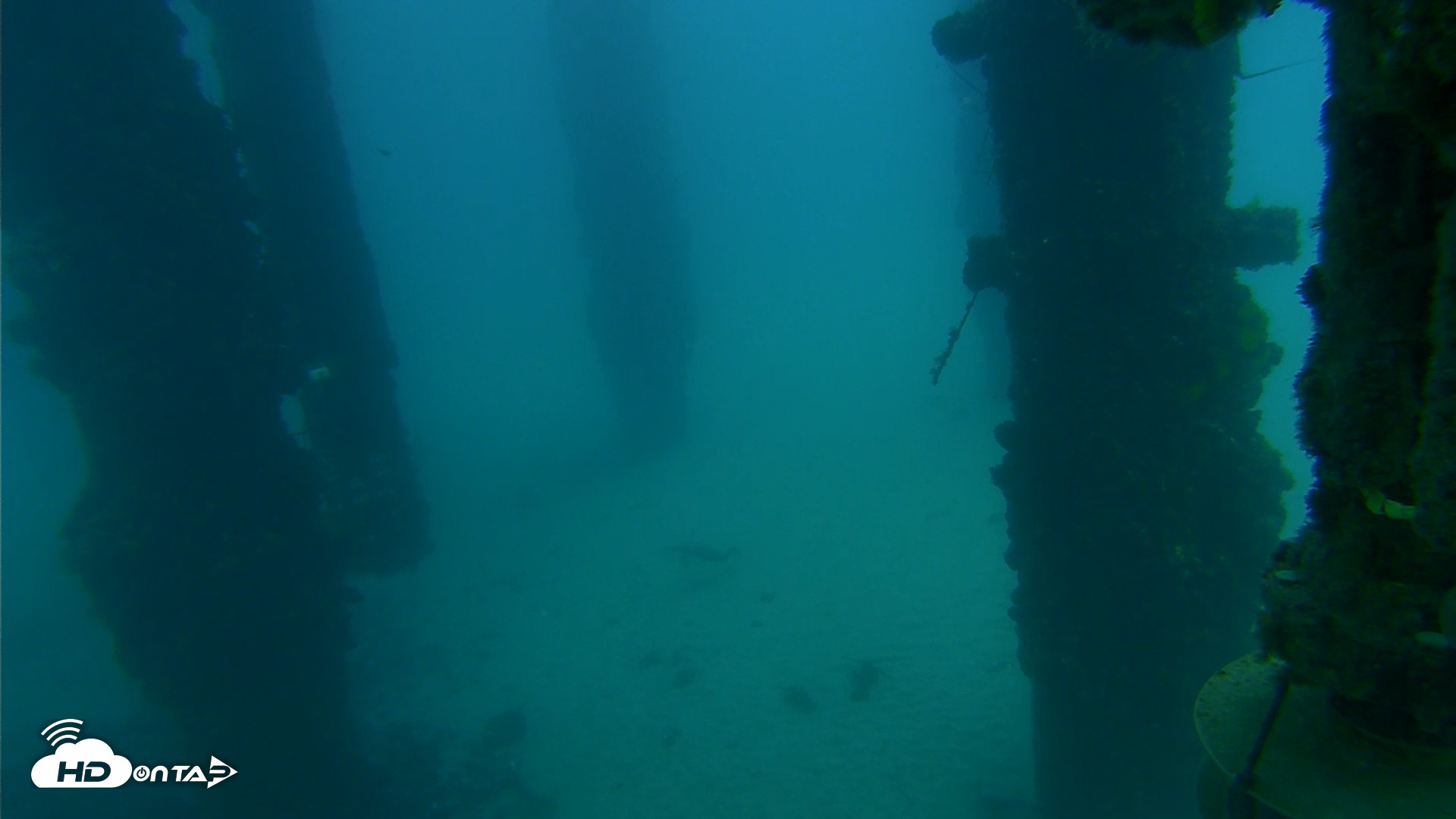 Snapshot of Scripps Pier Underwater Live Webcam taken Sep 13, 2025, 7:04am PDT