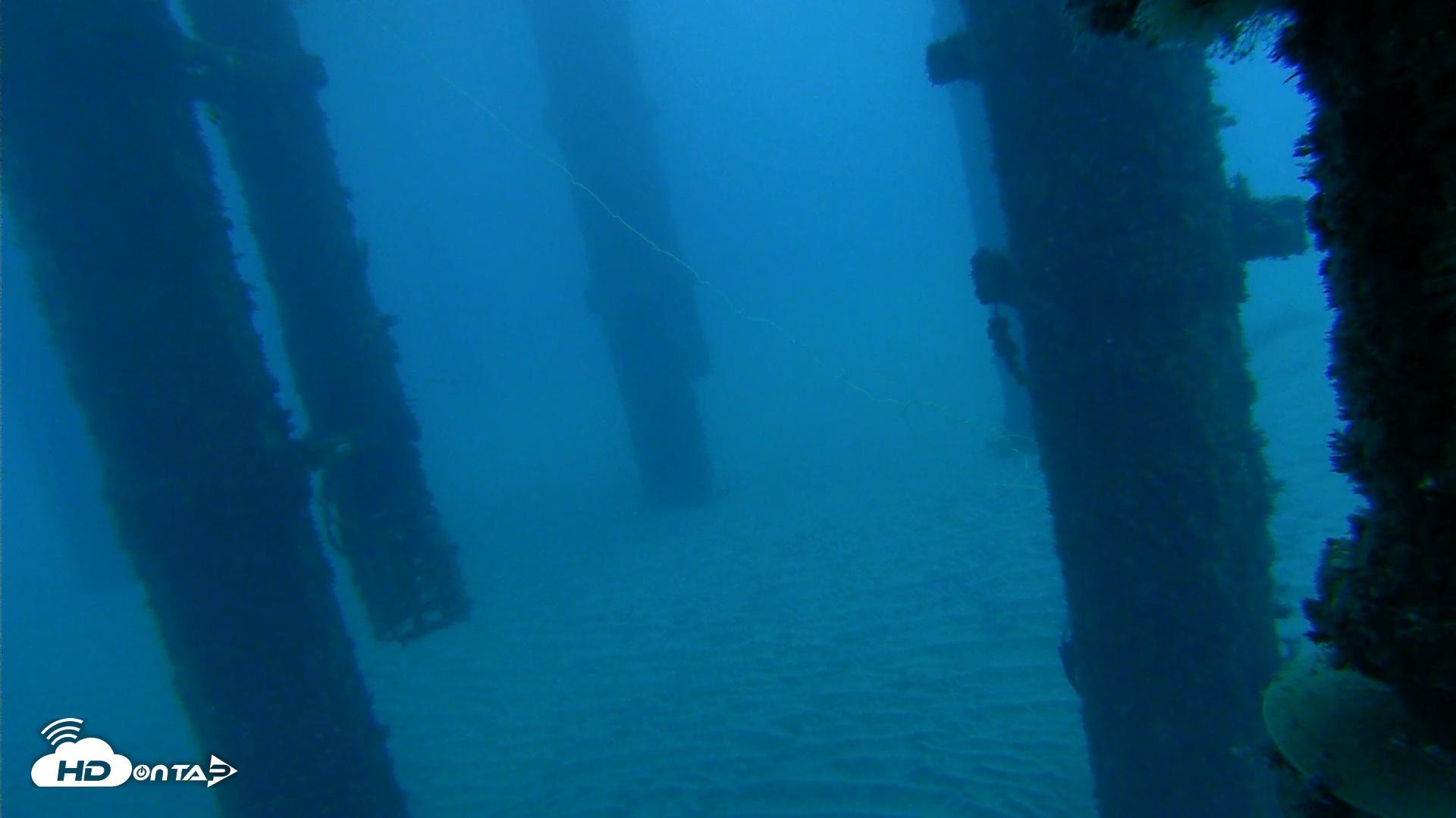 Snapshot of Scripps Pier Underwater Live Webcam taken Oct 17, 2026, 7:05am PDT