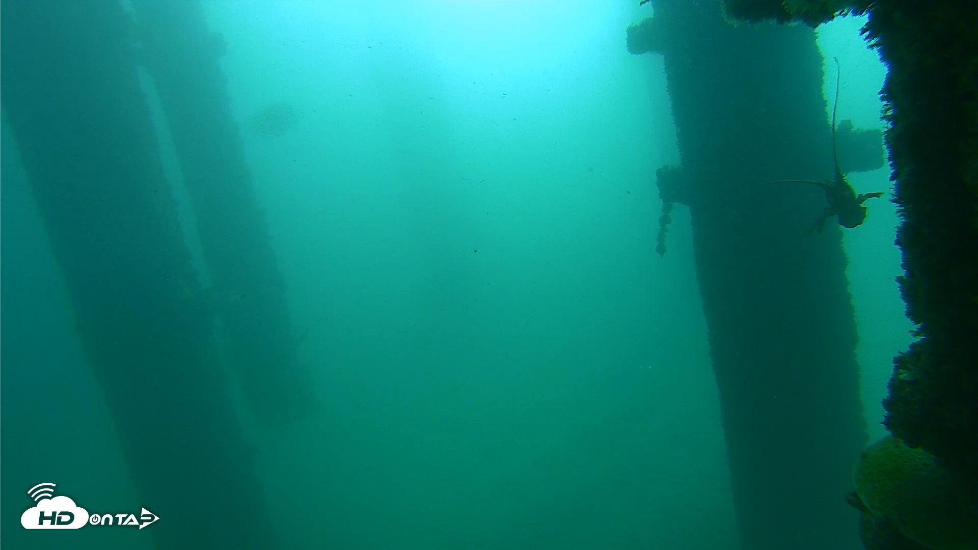 Snapshot of Scripps Pier Underwater Live Webcam taken Oct 9, 2026, 9:30am PDT