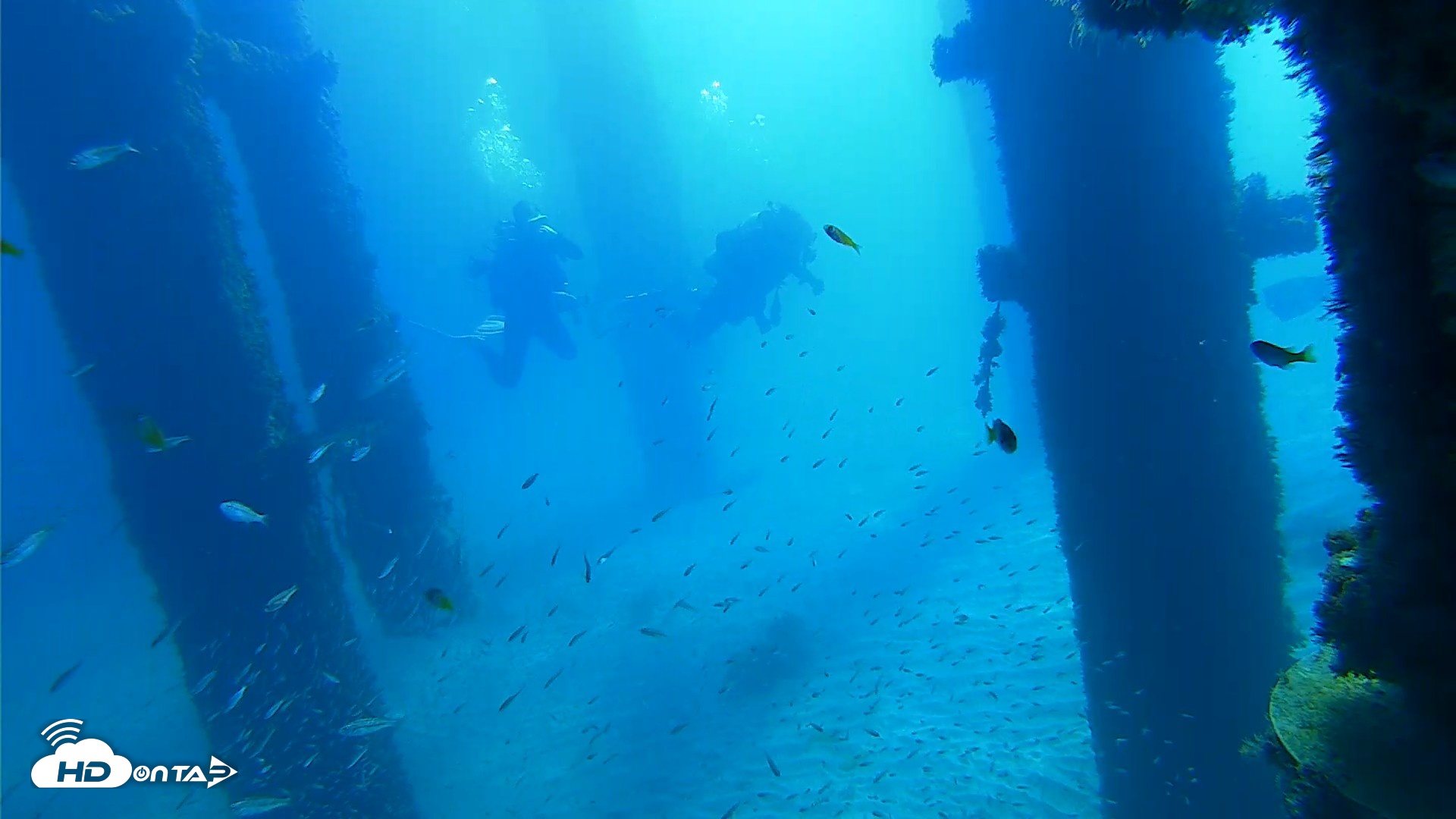 Snapshot of Scripps Pier Underwater Live Webcam taken Oct 5, 2026, 10:26am PDT