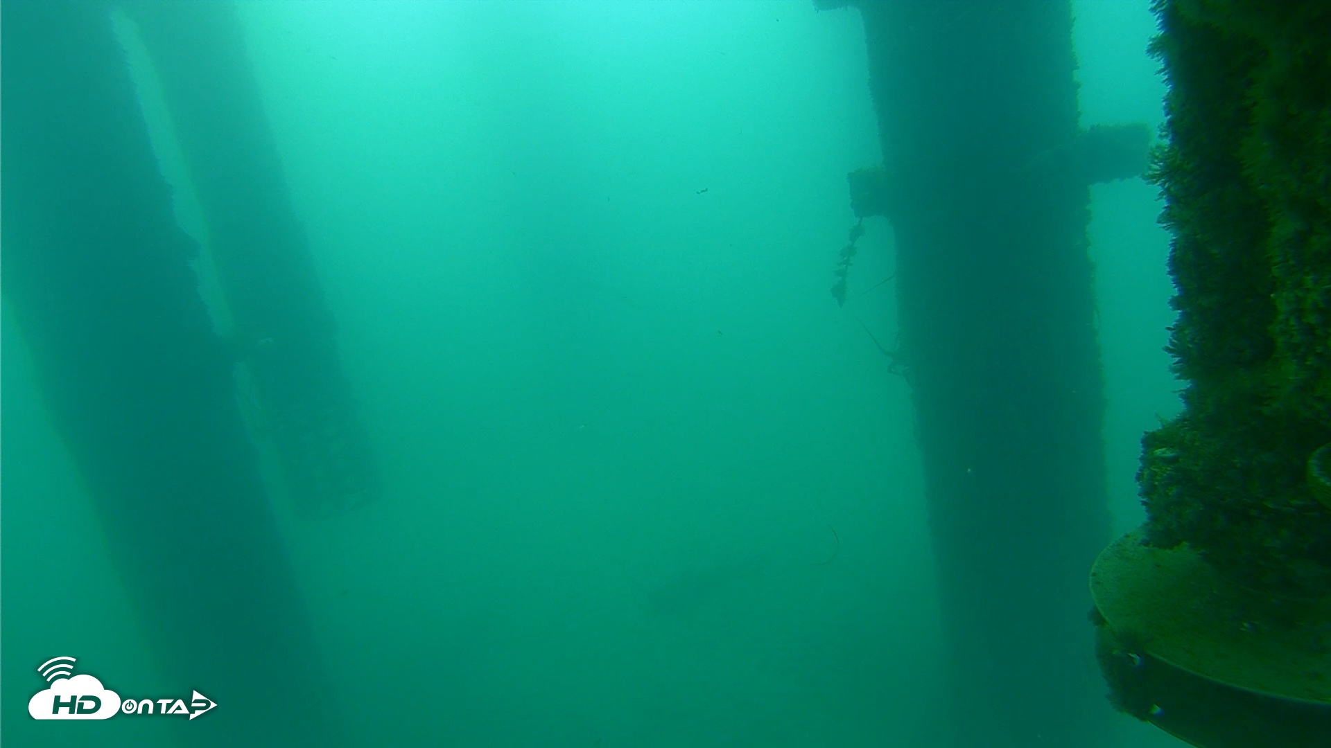 Snapshot of Scripps Pier Underwater Live Webcam taken Aug 28, 2026, 6:53am PDT