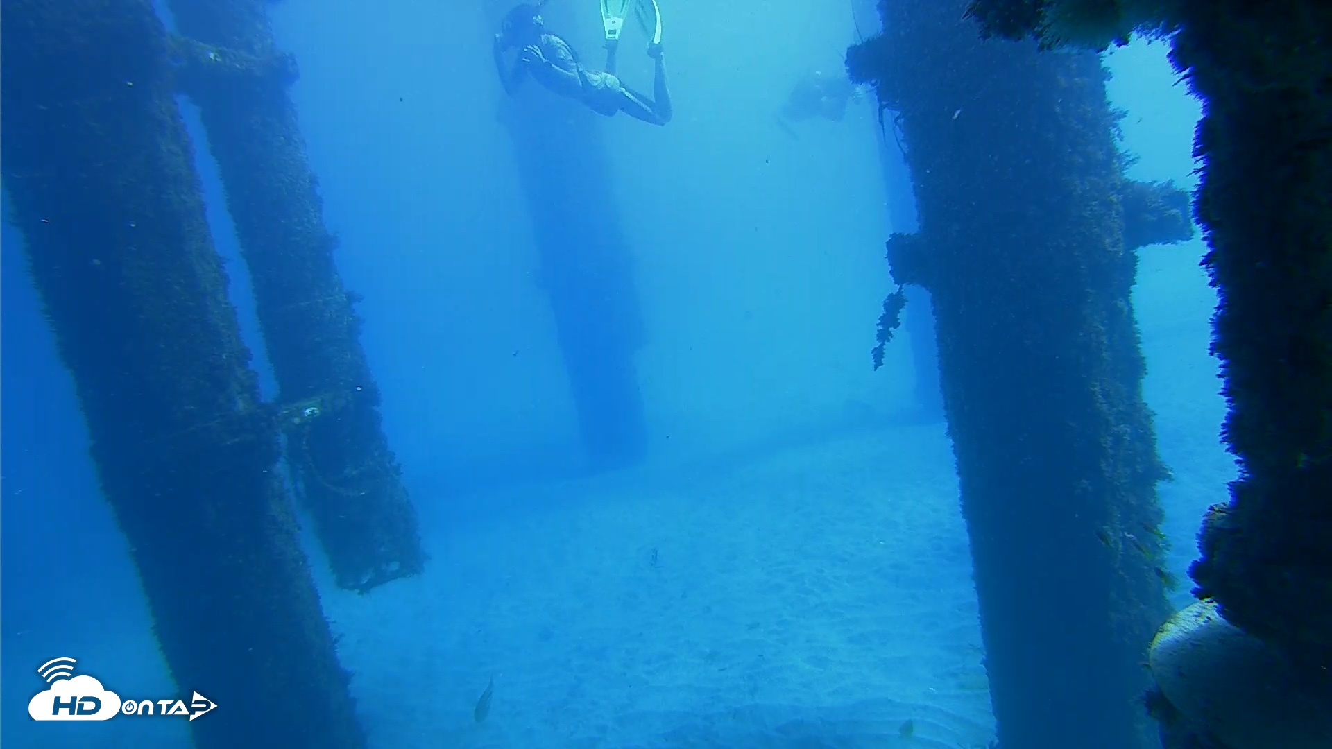 Snapshot of Scripps Pier Underwater Live Webcam taken Oct 19, 2026, 12:30pm PDT