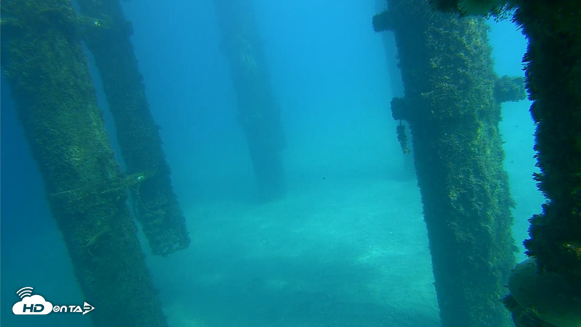 Snapshot of Scripps Pier Underwater Live Webcam taken Oct 16, 2026, 2:26pm PDT