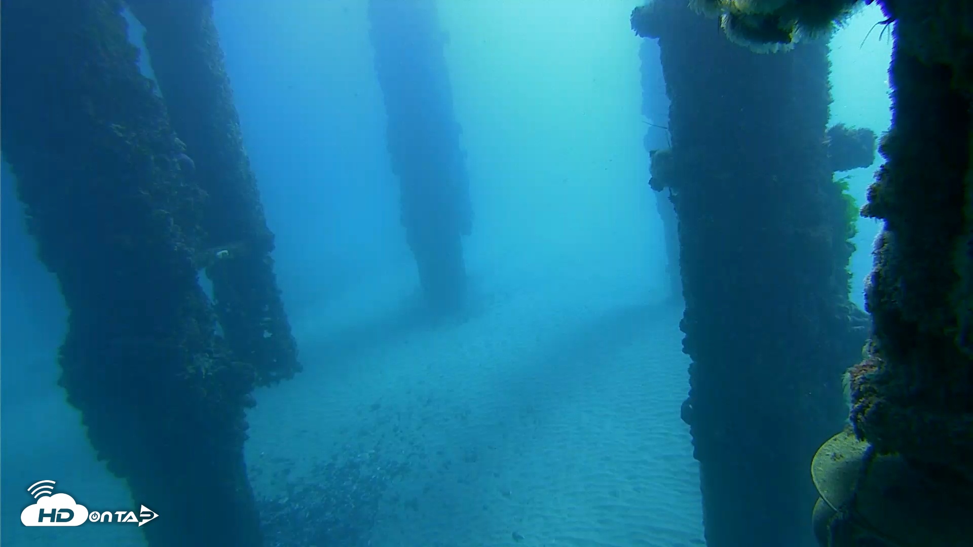 Snapshot of Scripps Pier Underwater Live Webcam taken Nov 16, 2025, 8:56am PST