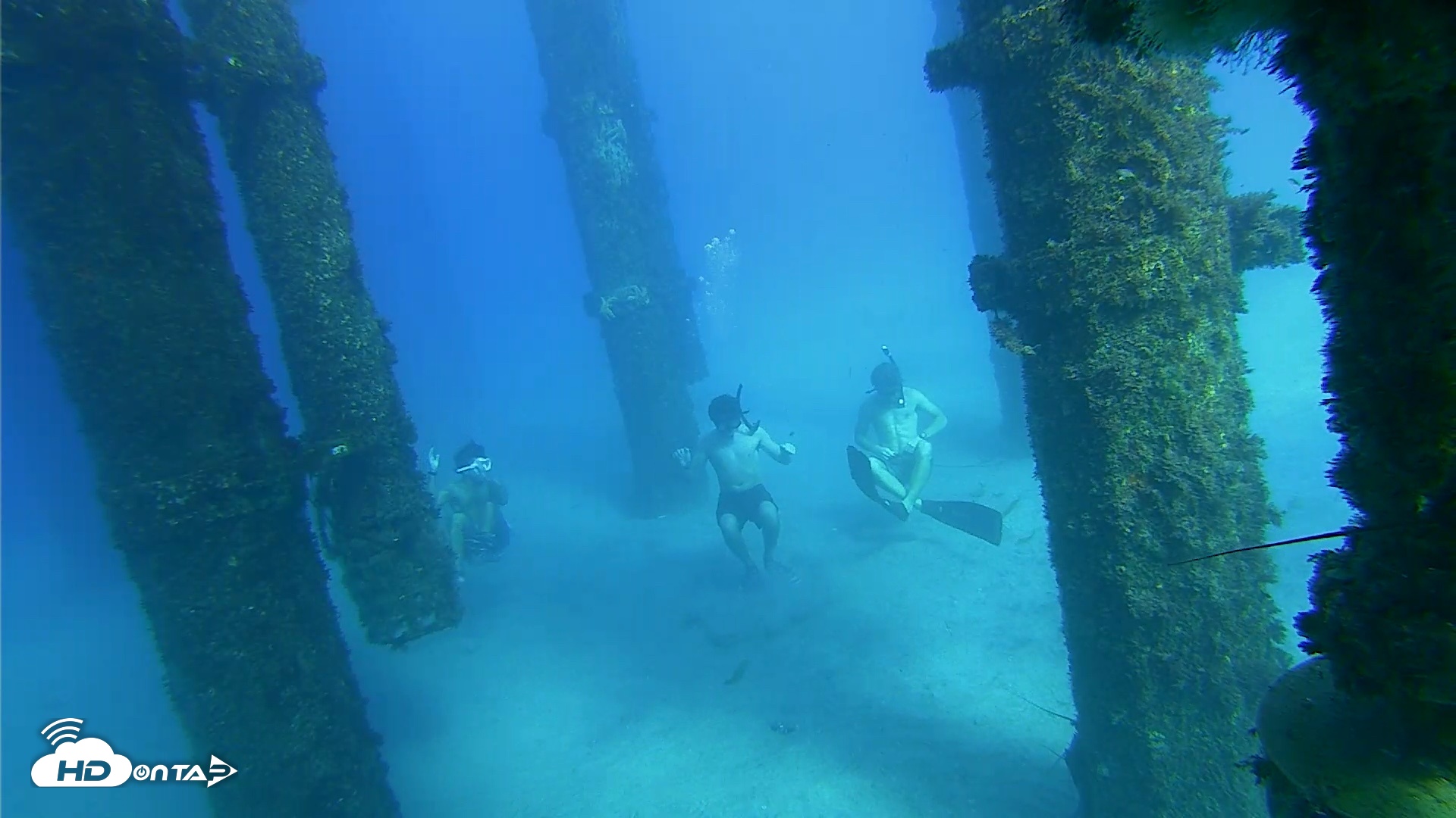 Snapshot of Scripps Pier Underwater Live Webcam taken Oct 18, 2026, 3:59pm PDT