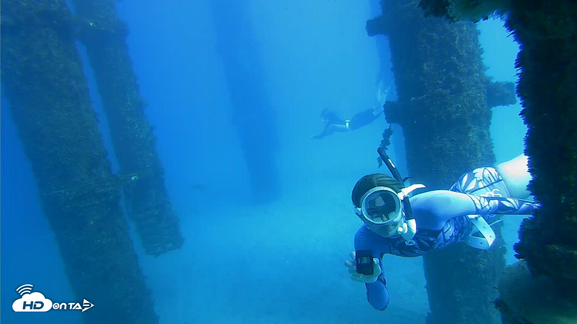 Snapshot of Scripps Pier Underwater Live Webcam taken Oct 19, 2026, 2:53pm PDT