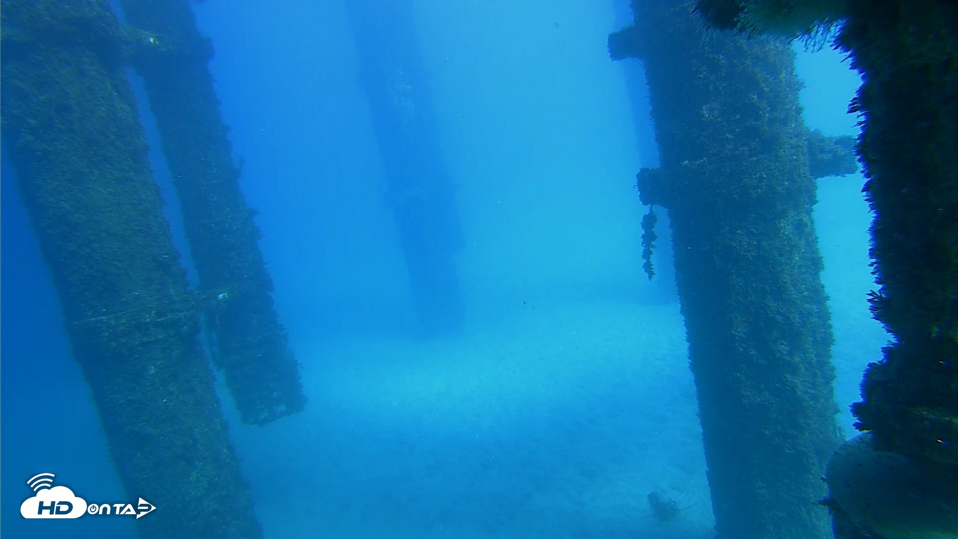 Snapshot of Scripps Pier Underwater Live Webcam taken Oct 19, 2026, 2:31pm PDT