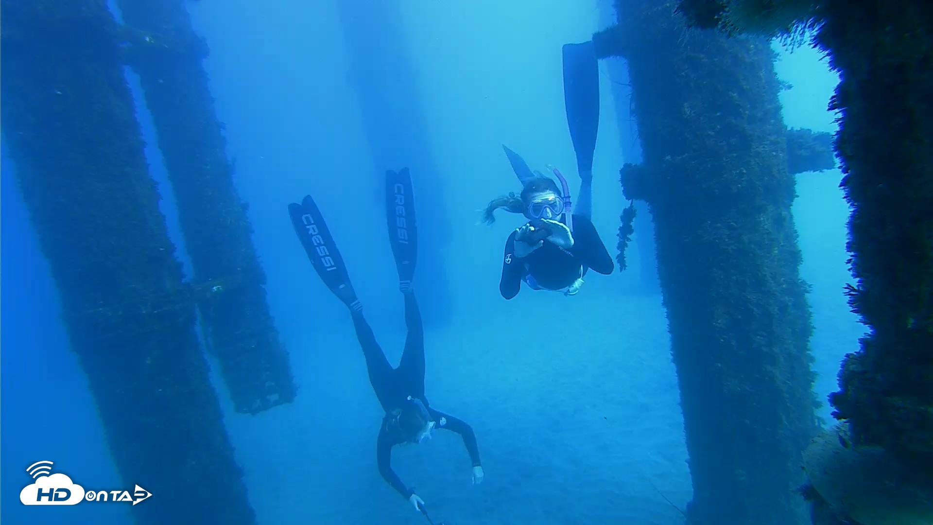 Snapshot of Scripps Pier Underwater Live Webcam taken Oct 19, 2026, 2:52pm PDT
