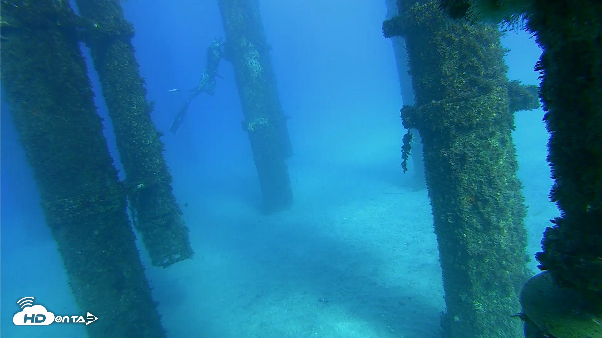 Snapshot of Scripps Pier Underwater Live Webcam taken Oct 18, 2026, 4:16pm PDT