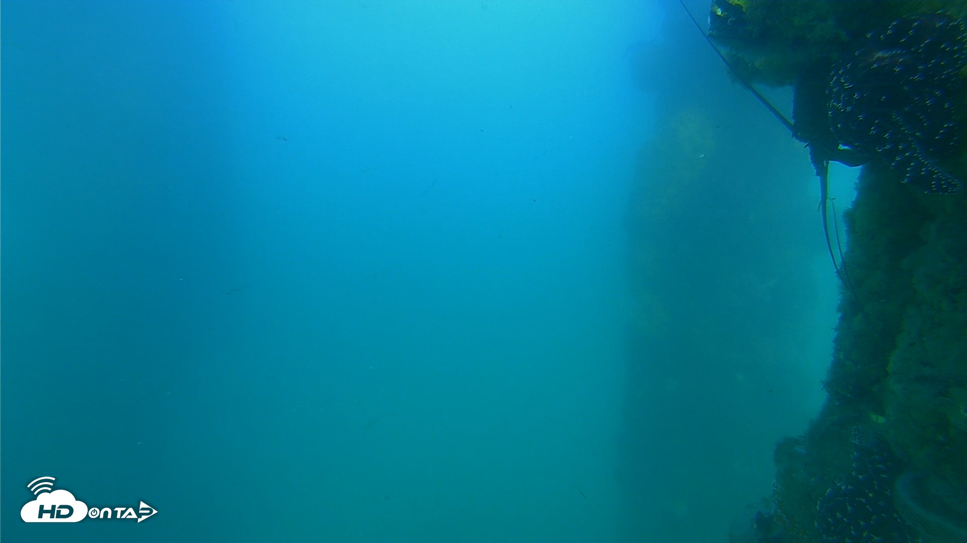Snapshot of Scripps Pier Underwater Live Webcam taken May 20, 2025, 6:41pm PDT