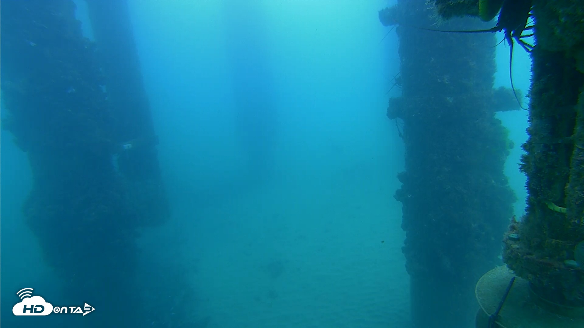 Snapshot of Scripps Pier Underwater Live Webcam taken Aug 26, 2025, 8:07am PDT