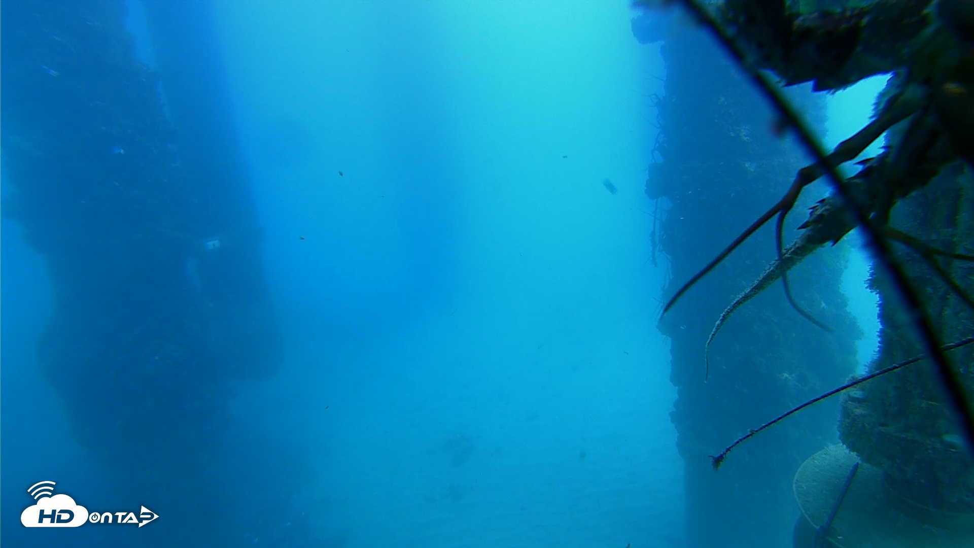 Snapshot of Scripps Pier Underwater Live Webcam taken Aug 26, 2025, 1:55pm PDT