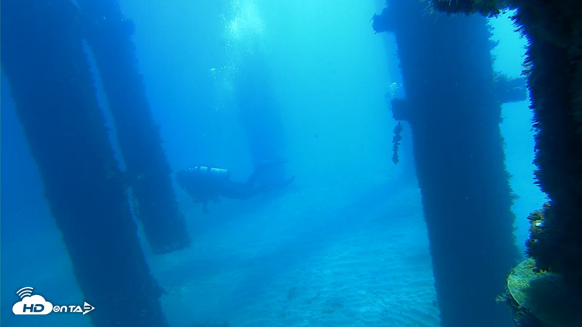 Snapshot of Scripps Pier Underwater Live Webcam taken Oct 5, 2026, 10:48am PDT