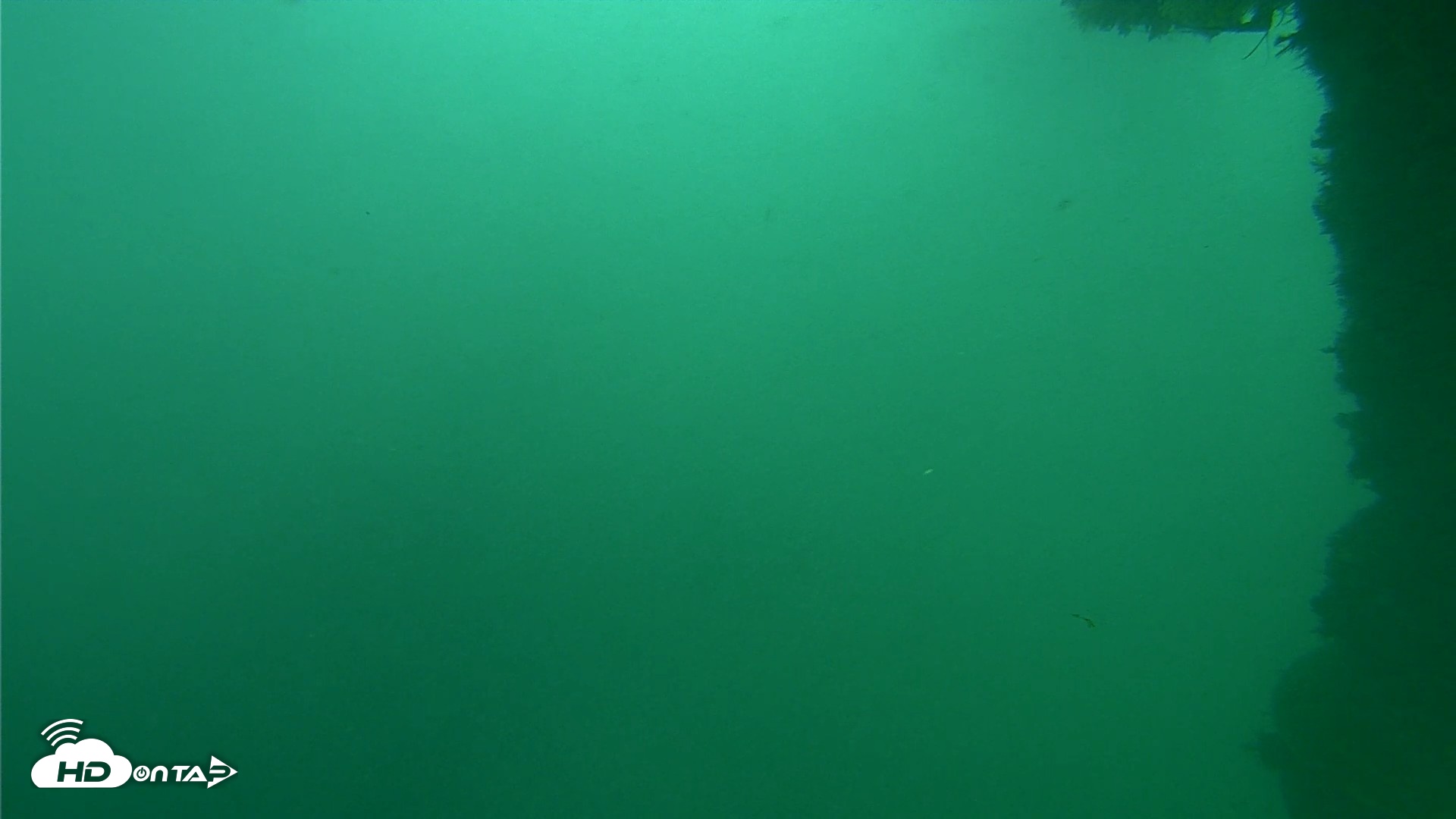 Snapshot of Scripps Pier Underwater Live Webcam taken Oct 11, 2026, 12:07pm PDT