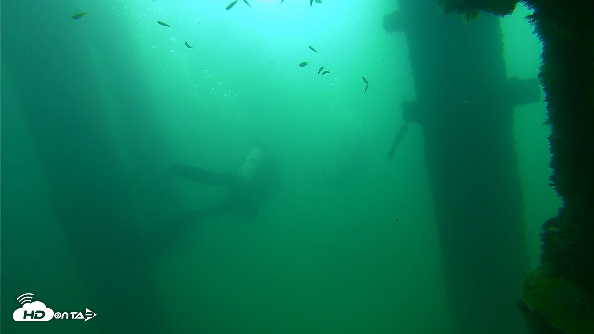Snapshot of Scripps Pier Underwater Live Webcam taken Sep 23, 2026, 9:23am PDT
