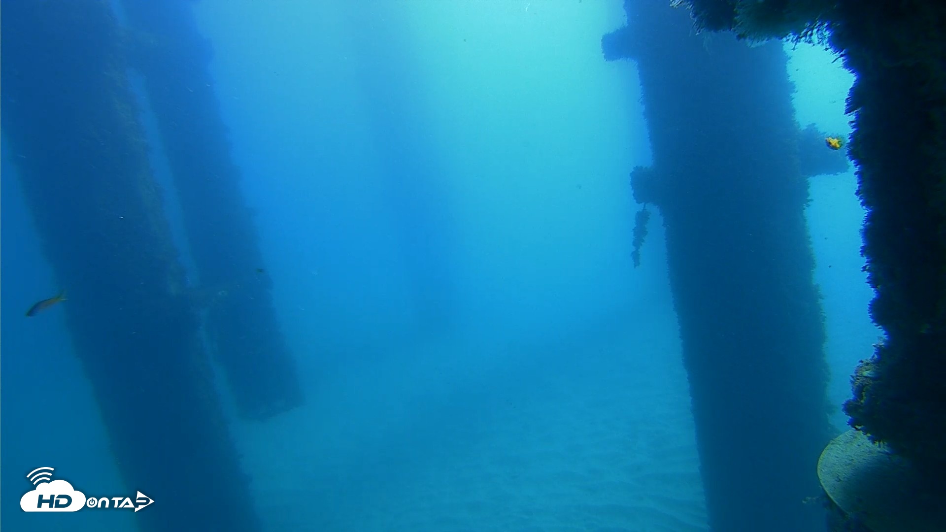 Snapshot of Scripps Pier Underwater Live Webcam taken Oct 21, 2026, 10:45am PDT