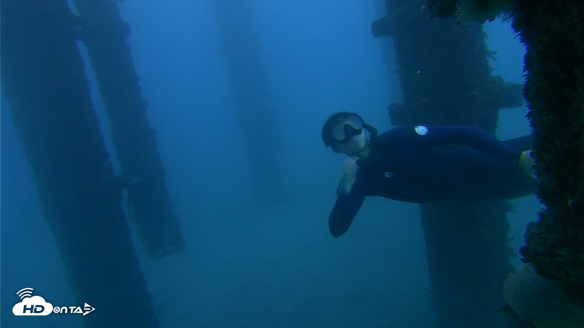 Snapshot of Scripps Pier Underwater Live Webcam taken Oct 19, 2026, 6:05pm PDT