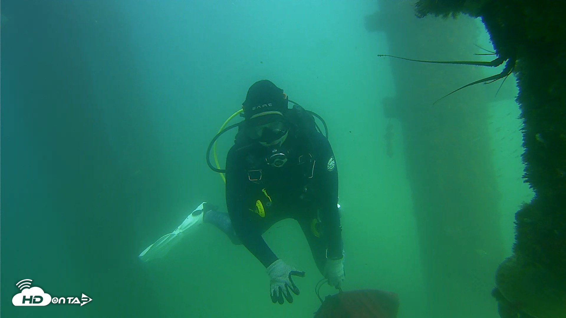 Snapshot of Scripps Pier Underwater Live Webcam taken Sep 18, 2026, 3:12pm PDT