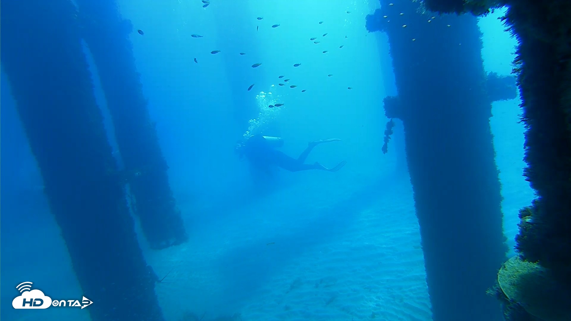 Snapshot of Scripps Pier Underwater Live Webcam taken Oct 5, 2026, 10:49am PDT
