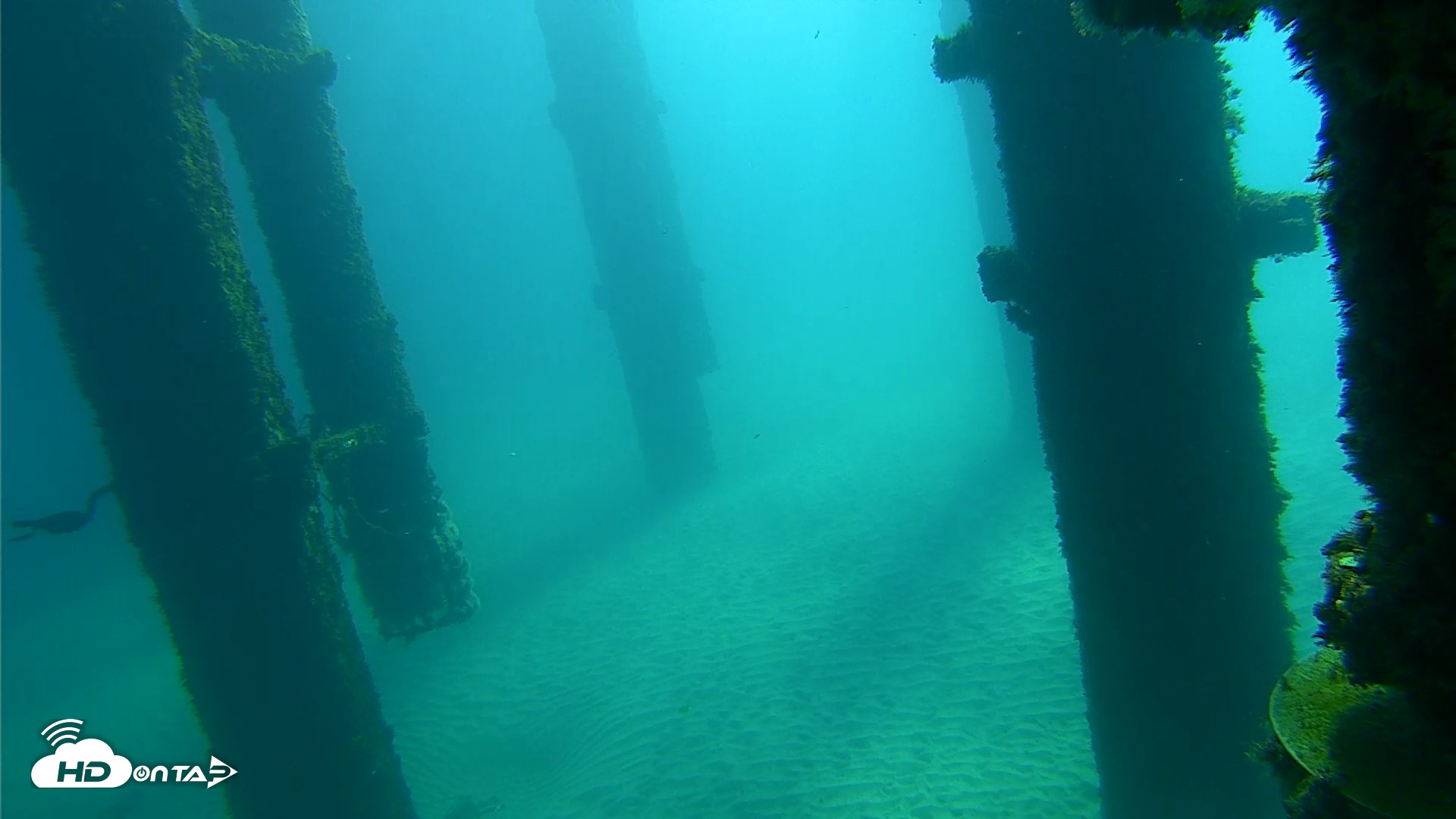 Snapshot of Scripps Pier Underwater Live Webcam taken Oct 7, 2026, 10:00am PDT