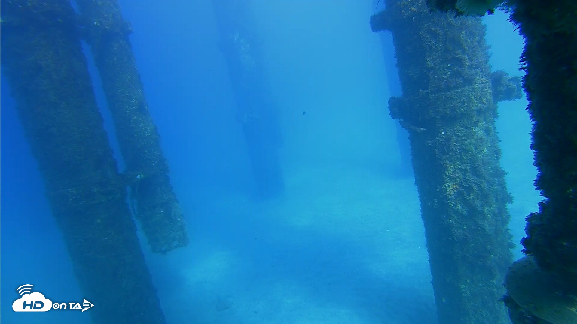 Snapshot of Scripps Pier Underwater Live Webcam taken Oct 16, 2026, 3:53pm PDT