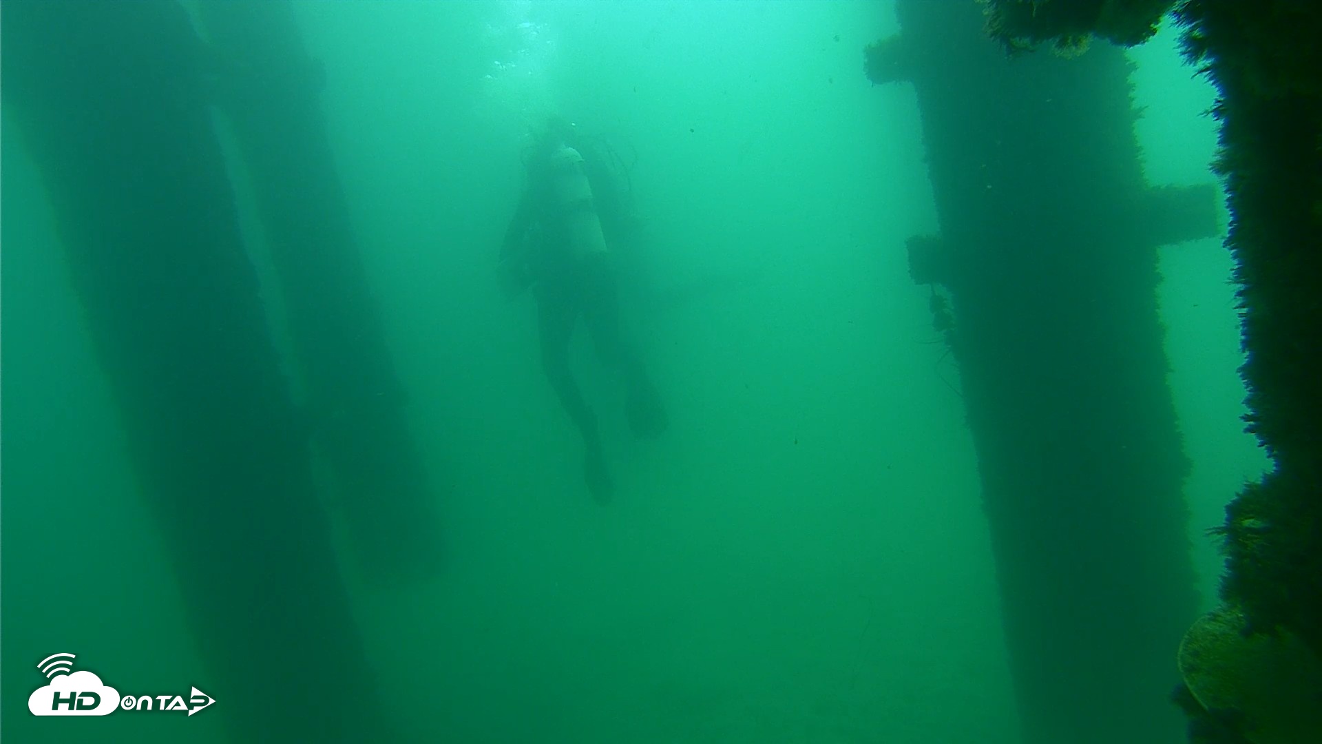 Snapshot of Scripps Pier Underwater Live Webcam taken Sep 17, 2026, 10:51am PDT