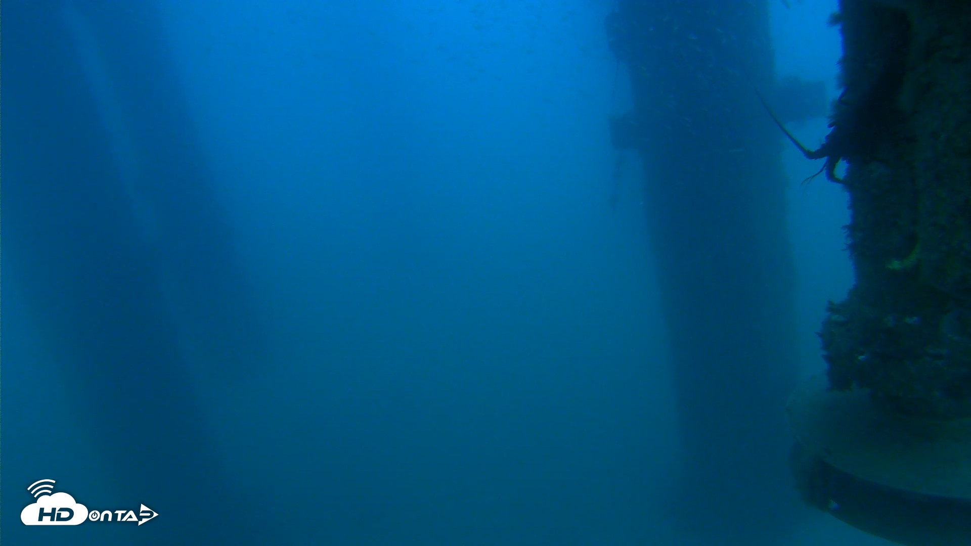 Snapshot of Scripps Pier Underwater Live Webcam taken Aug 10, 2026, 7:37pm PDT