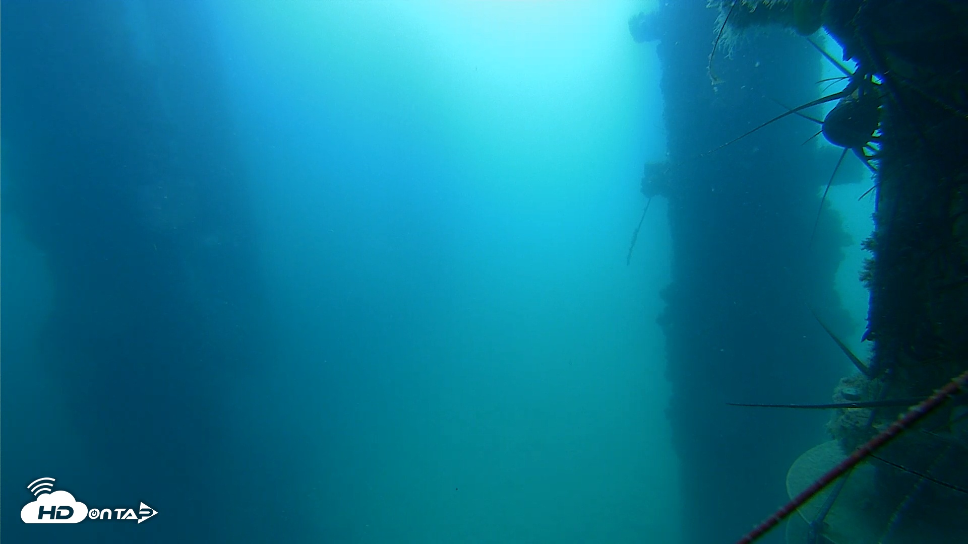 Snapshot of Scripps Pier Underwater Live Webcam taken Aug 20, 2025, 9:41am PDT