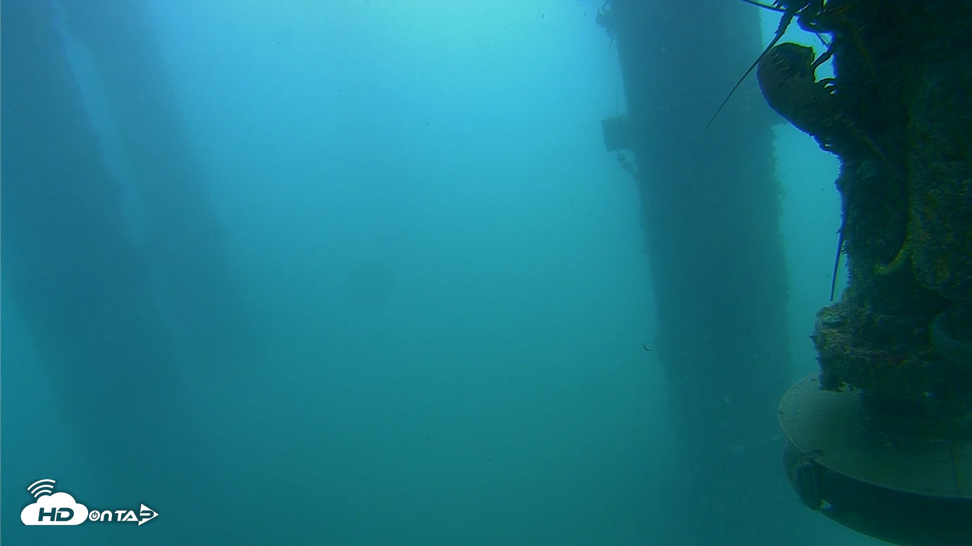 Snapshot of Scripps Pier Underwater Live Webcam taken Jul 31, 2026, 9:47am PDT