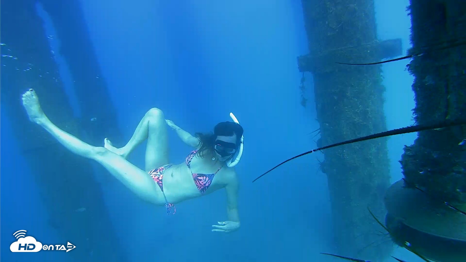 Snapshot of Scripps Pier Underwater Live Webcam taken Aug 6, 2026, 4:55pm PDT