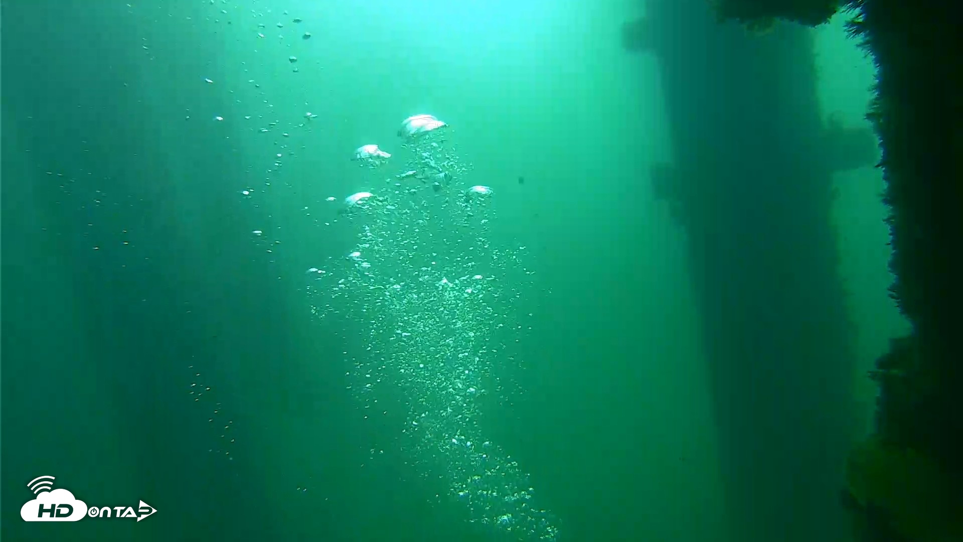 Snapshot of Scripps Pier Underwater Live Webcam taken Sep 23, 2026, 9:22am PDT
